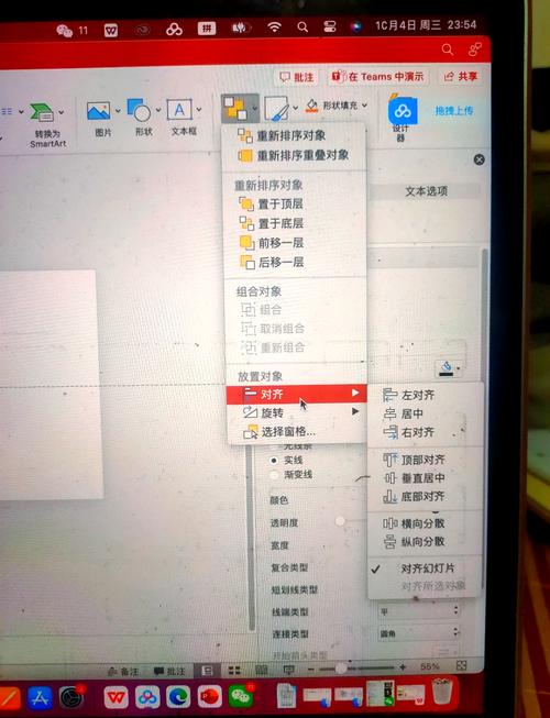 怎么给word加入字体