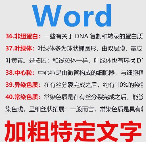 在word怎么加粗