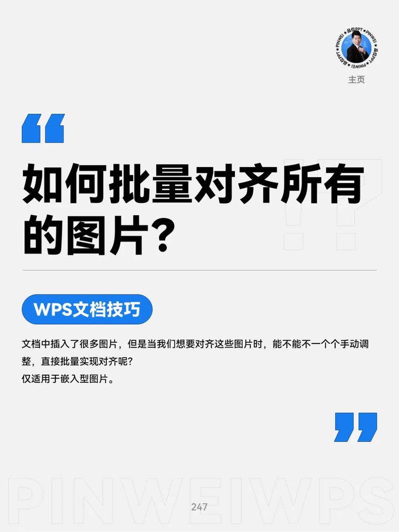 怎么将图片加入word