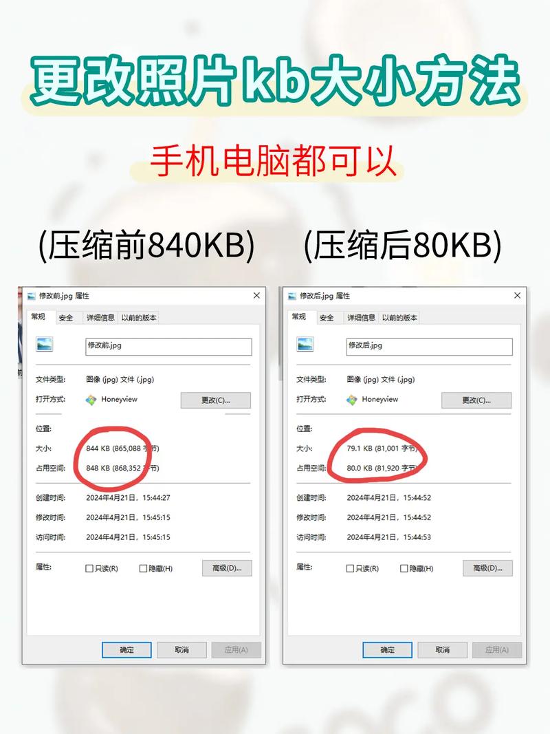 word怎么设置照片大小怎么设置