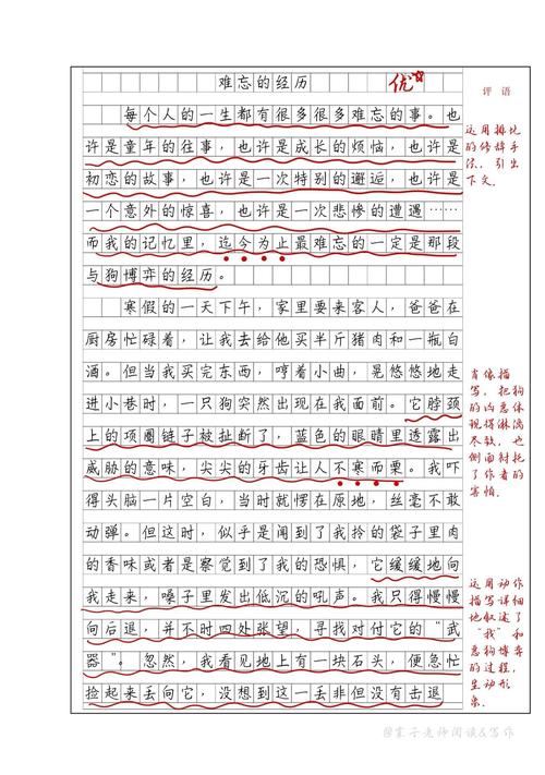 word有批注怎么打字