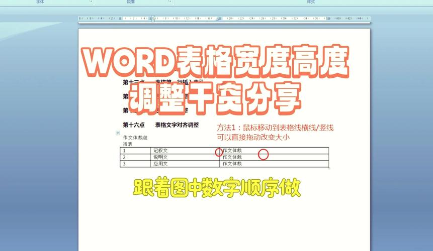 word2007怎么调整表格