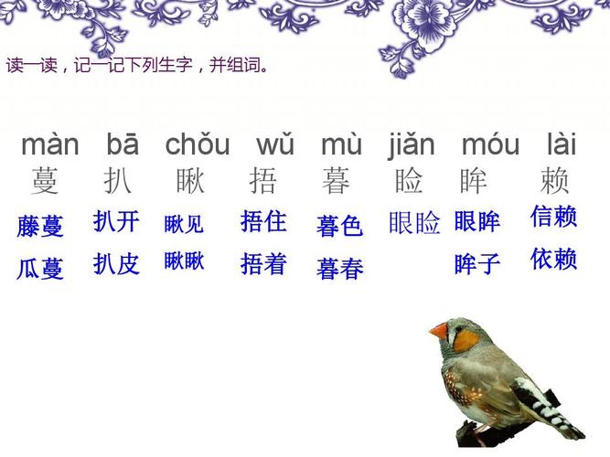 word怎么找小鸟