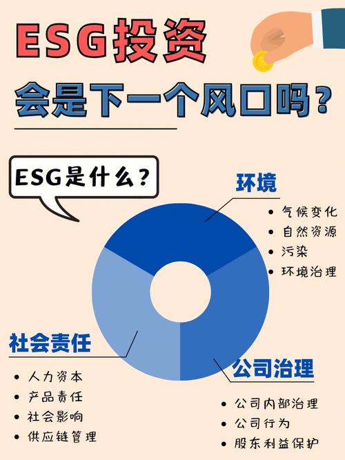 esg是什么意思