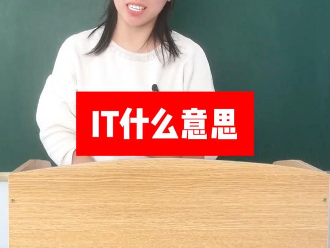 it是什么意思