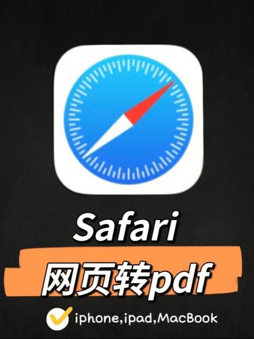 safari是什么意思