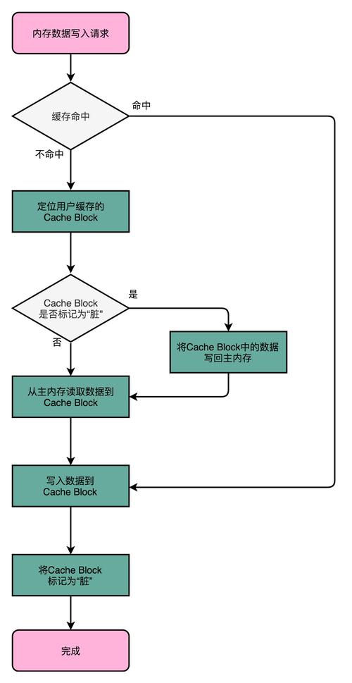 cache是什么意思