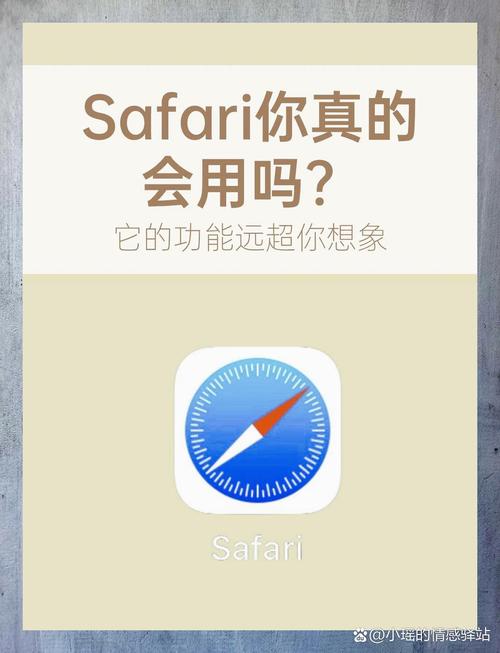 safari是什么意思