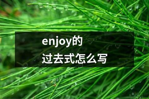 enjoy怎么读