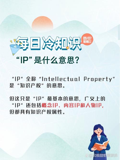 ip是什么意思