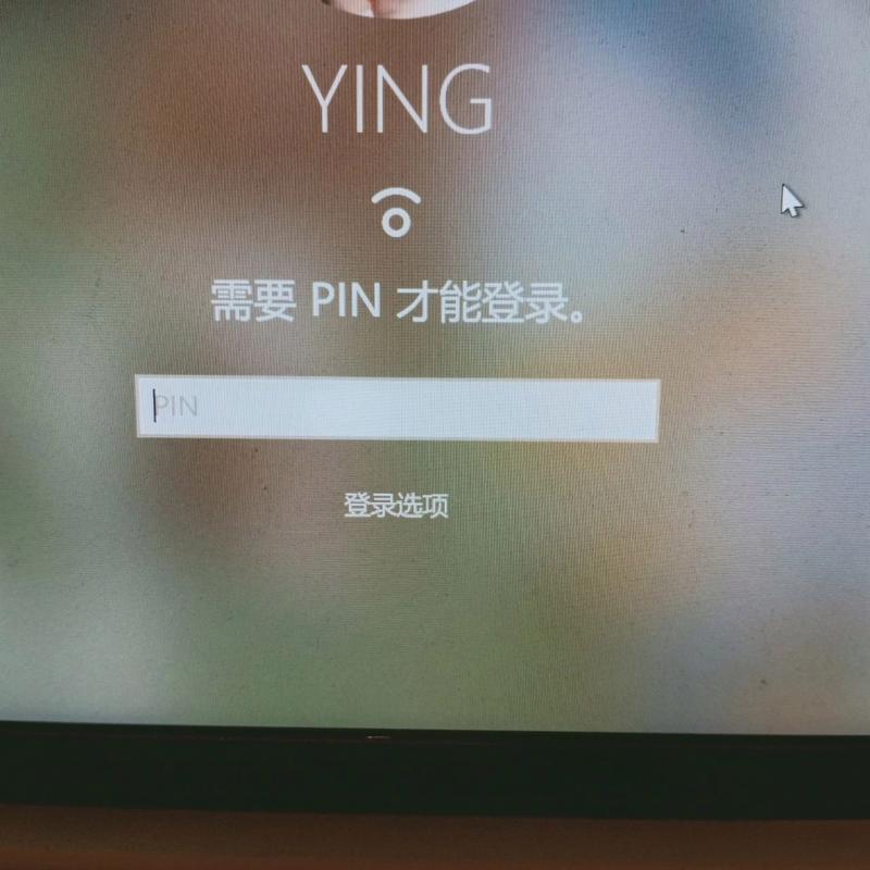 pin码是什么意思