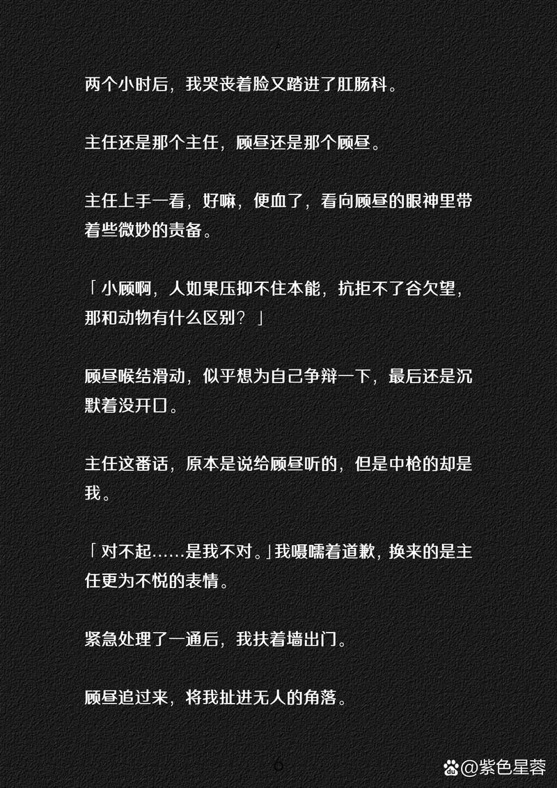 bl是什么意思