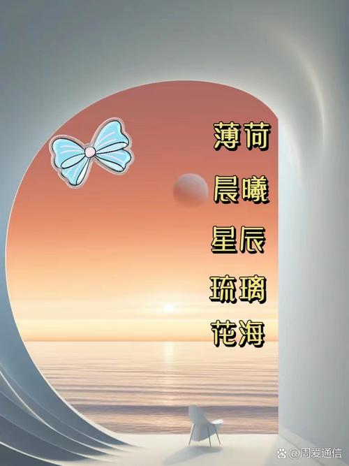 双是什么意思