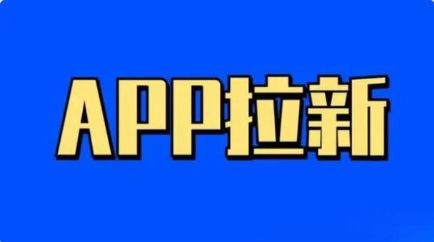 app是什么意思