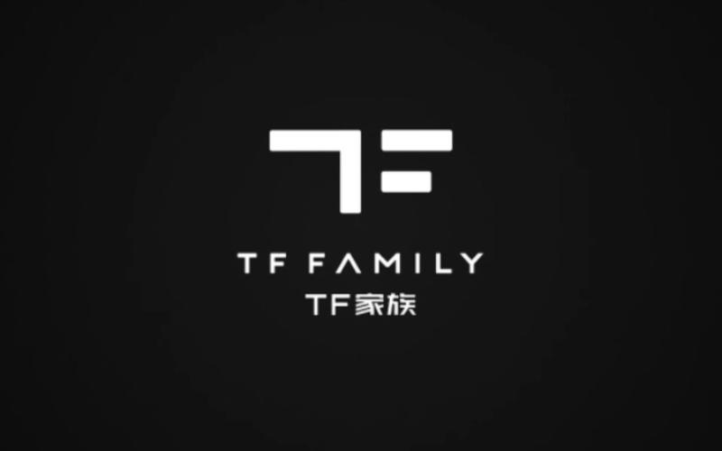 tf是什么意思