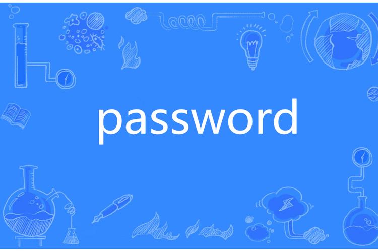 password是什么意思