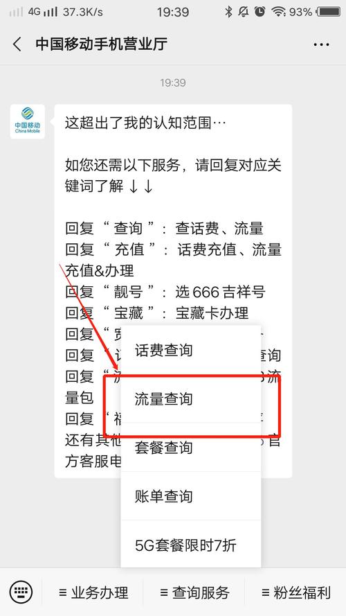 移动怎么查流量