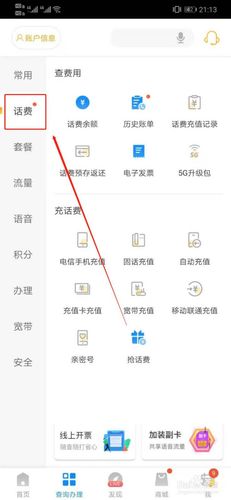 电信如何查话费