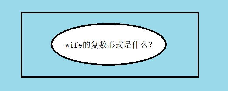 wife是什么意思