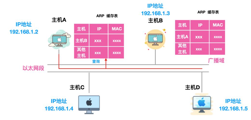 arp是什么意思