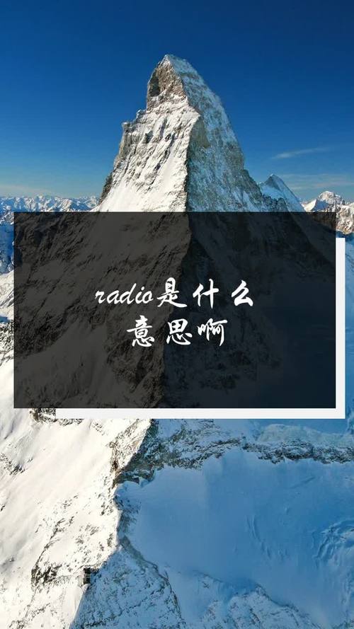 radio是什么意思