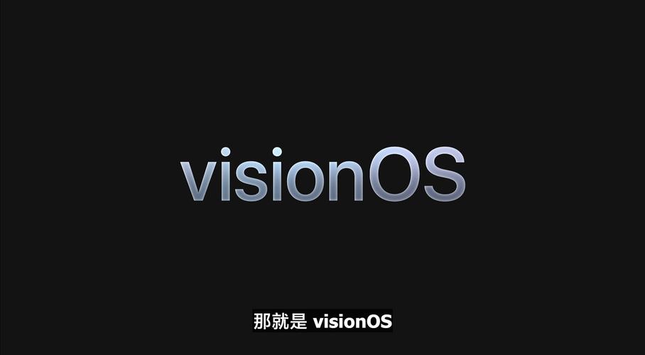 vision是什么意思