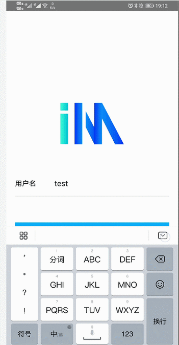 im是什么