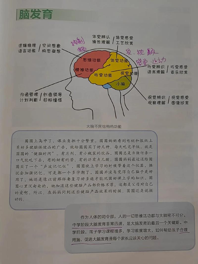 人的大脑开发了多少