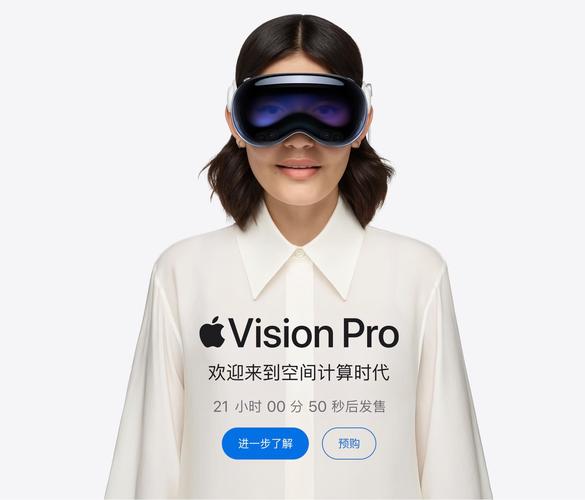 vision是什么意思