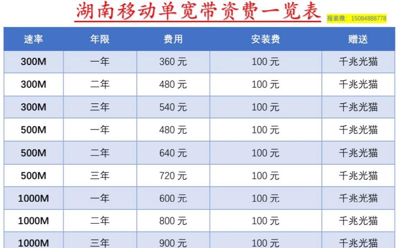 宽带一个月大概多少钱