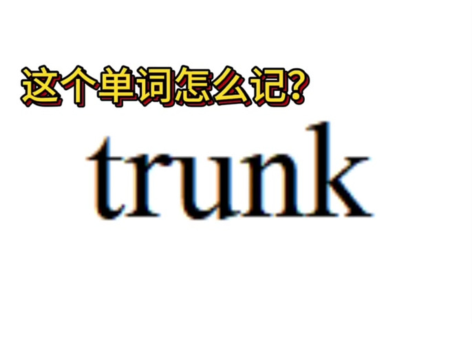 trunk是什么意思