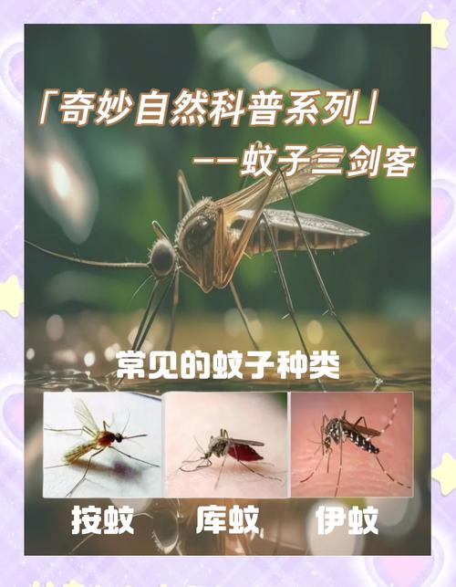 蚊子为什么要吸血