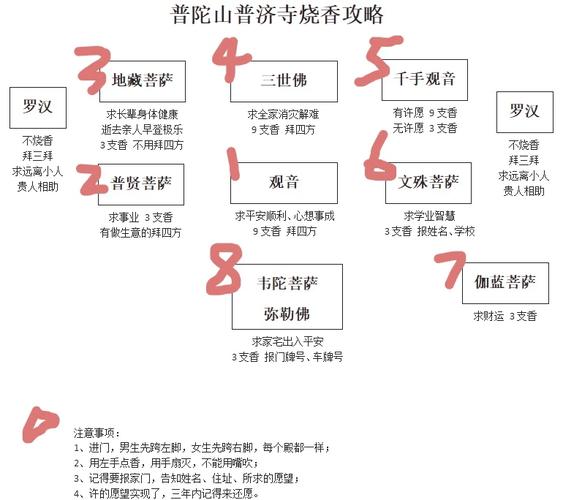 普陀怎么加点