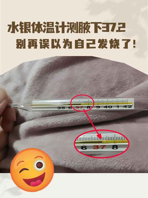 体温计多少钱一支