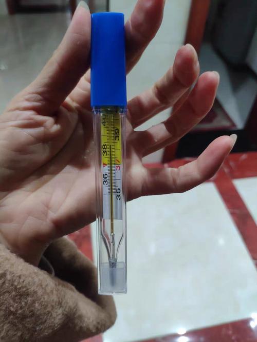 体温计多少钱一支