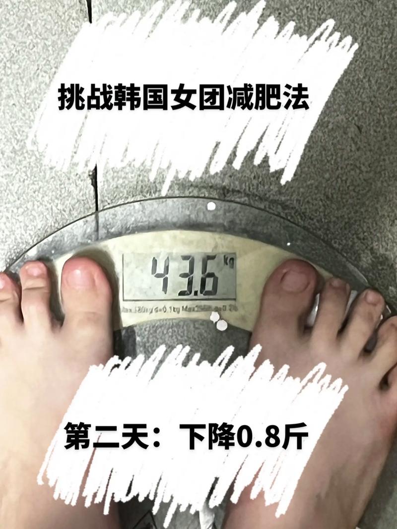 2.8升是多少斤
