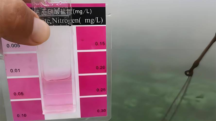 亚硝酸盐多少克致死