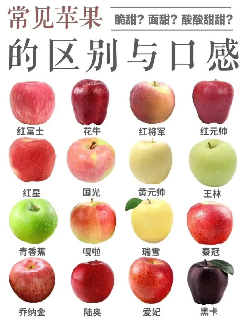 苹果多少克