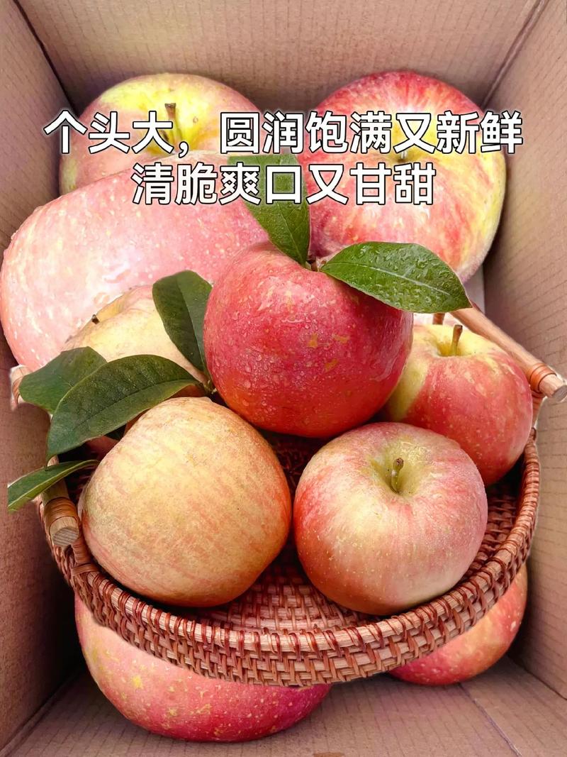 苹果多少克