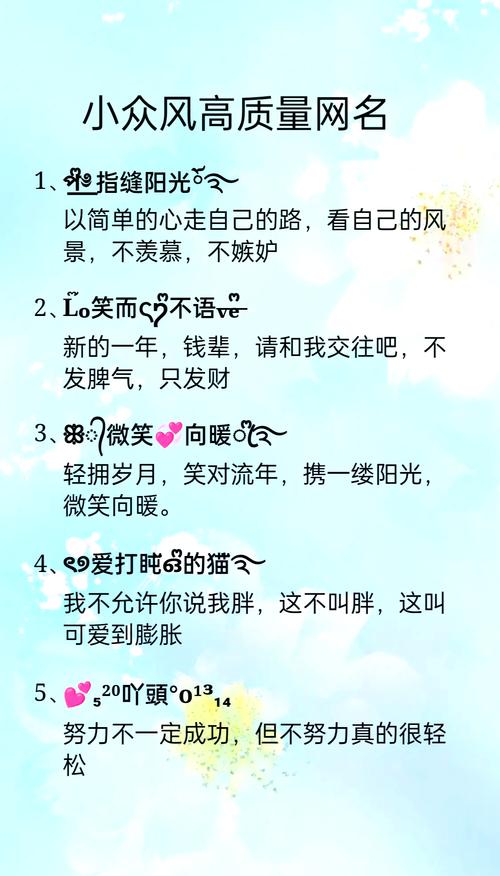 小众是什么意思