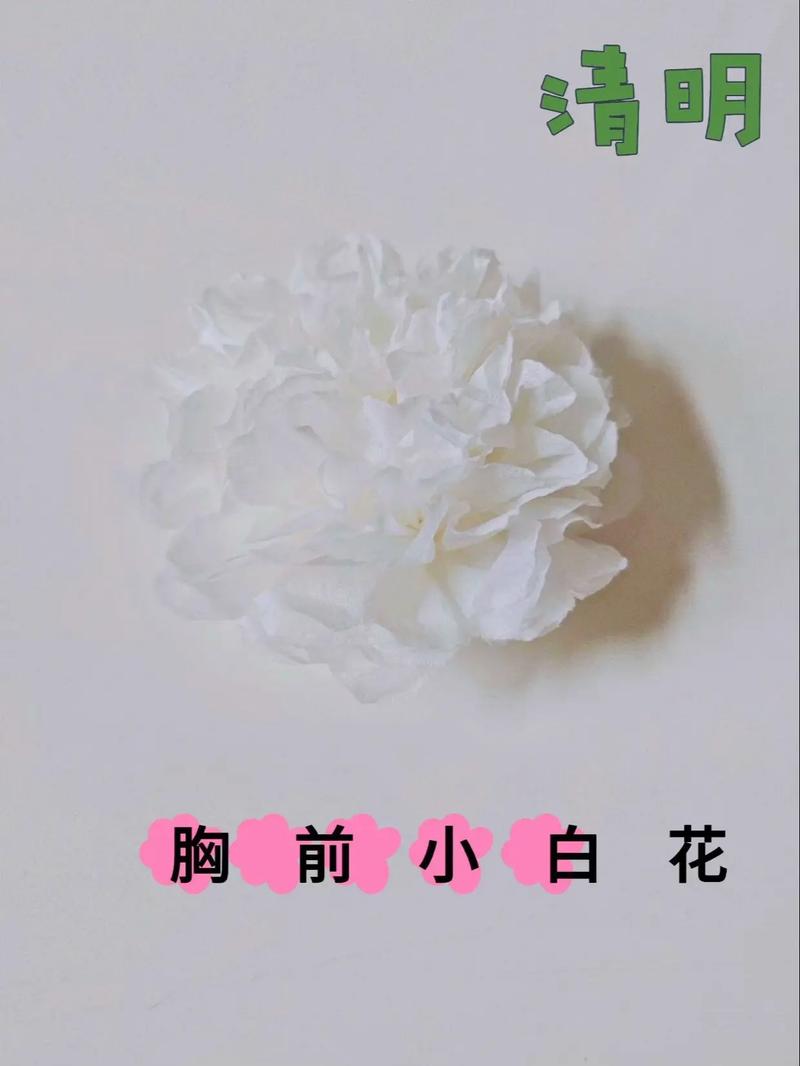 横屏小花短视频怎么制作