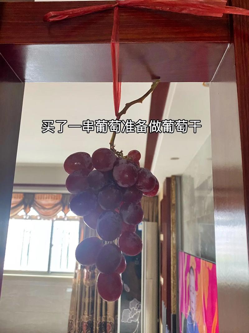 干果怎么制作短视频