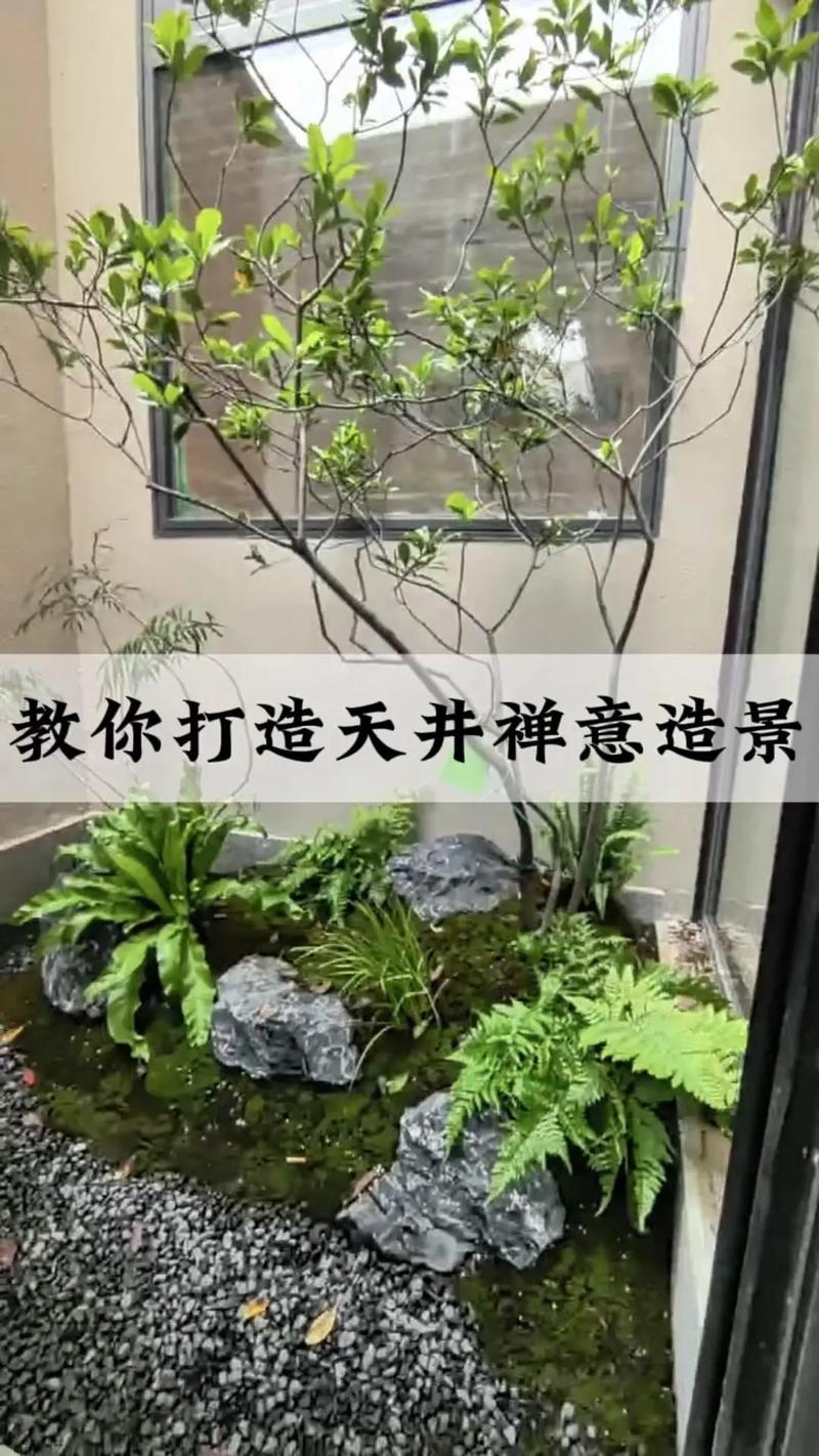 禅意短视频怎么制作的呢
