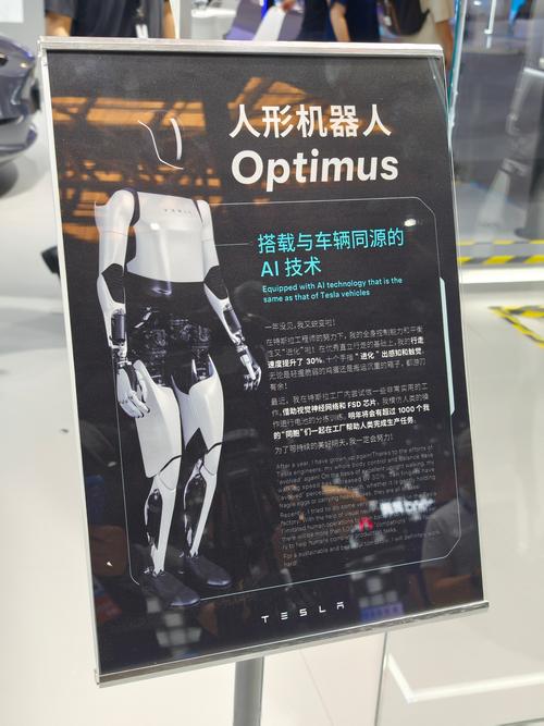 特斯拉的ai模型怎么用