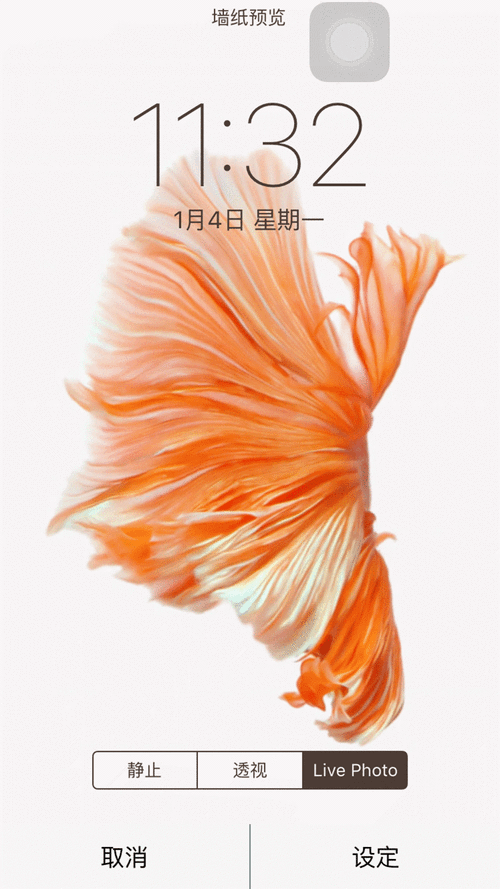 苹果手机流动壁纸如何设置