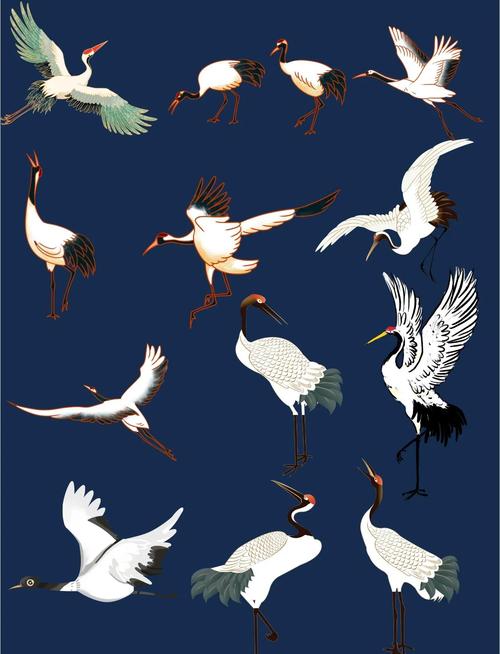 鹤的短视频模板怎么制作