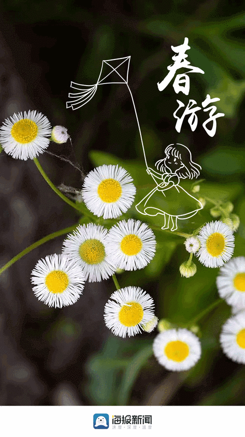 手机如何gif设置动态壁纸