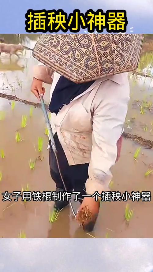 插秧短视频怎么制作
