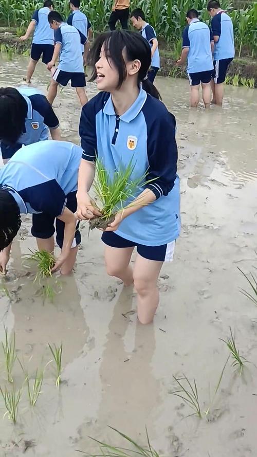 插秧短视频怎么制作