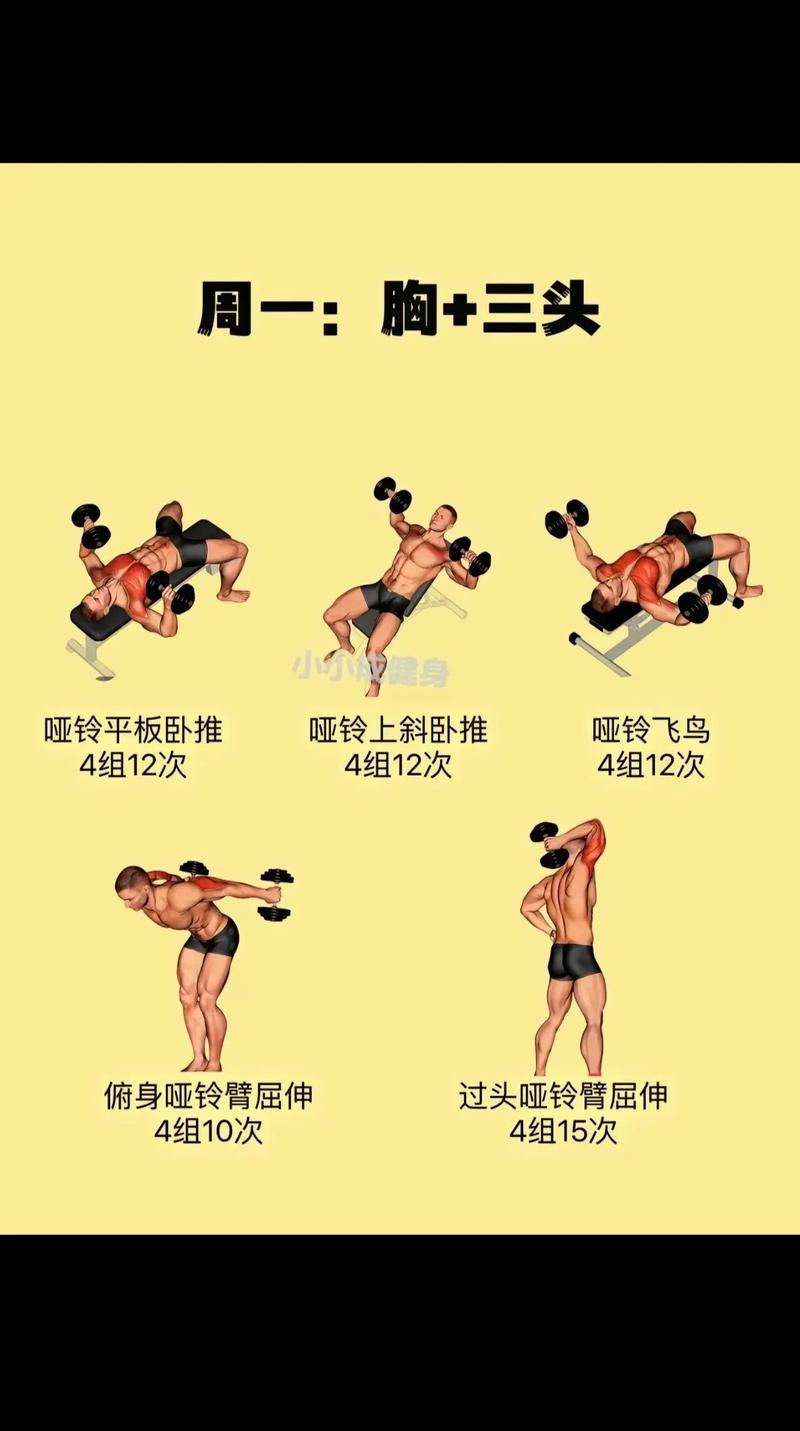 怎么制作健身短视频教程